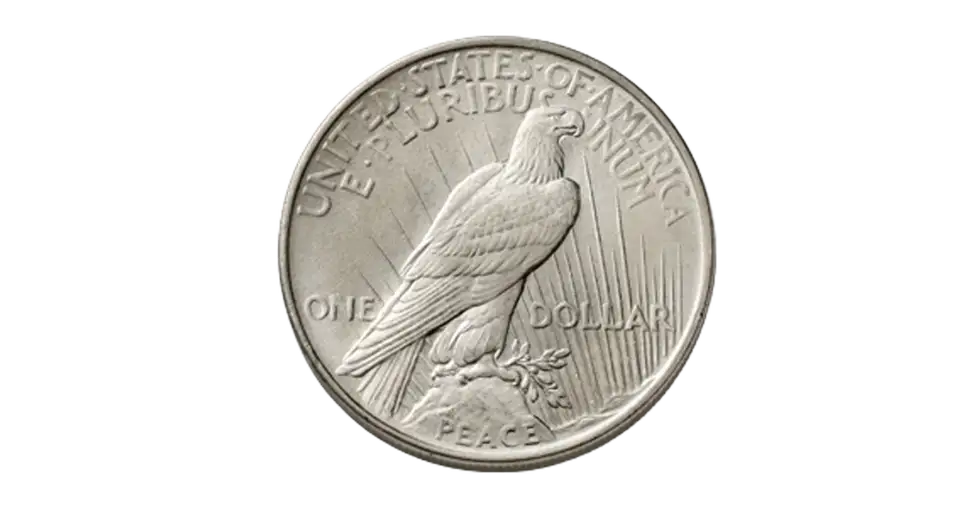 Authentic Peace Silver Dollar Coin (1922-26, 1934-35) - United States Mint -  Circulated Condition